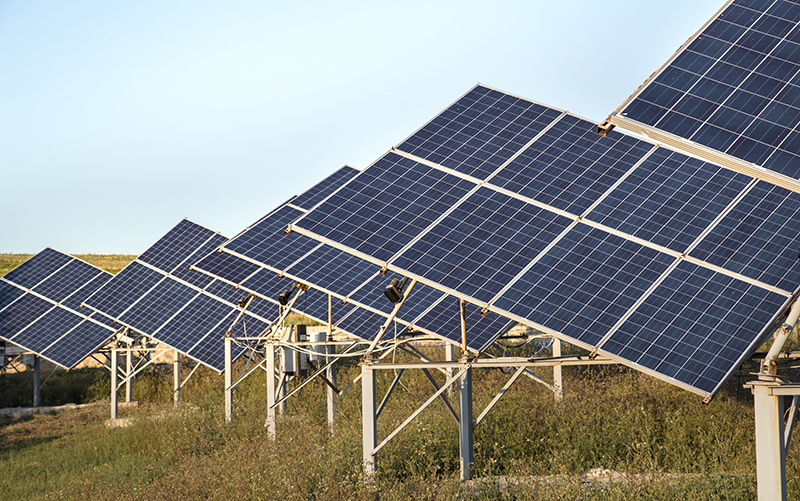 Proyecto busca convertir paneles solares en desuso en fertilizante