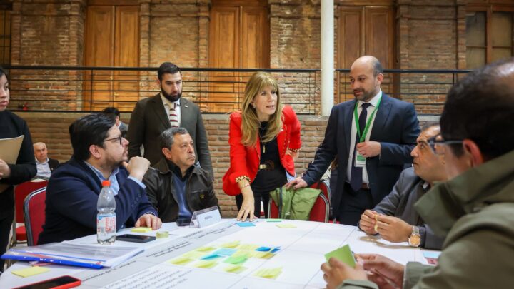 Ministra Rincón convoca a alcaldes de todo el país para participar en elaboración de Reforma de Redes Eléctricas