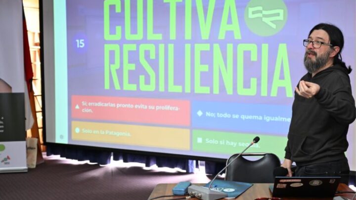 UACh y municipios costeros lanzaron aplicación que busca fortalecer la resiliencia ante desastres