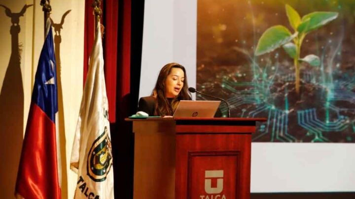Proyecto UNE UTalca define seis macroproyectos de investigación con foco territorial